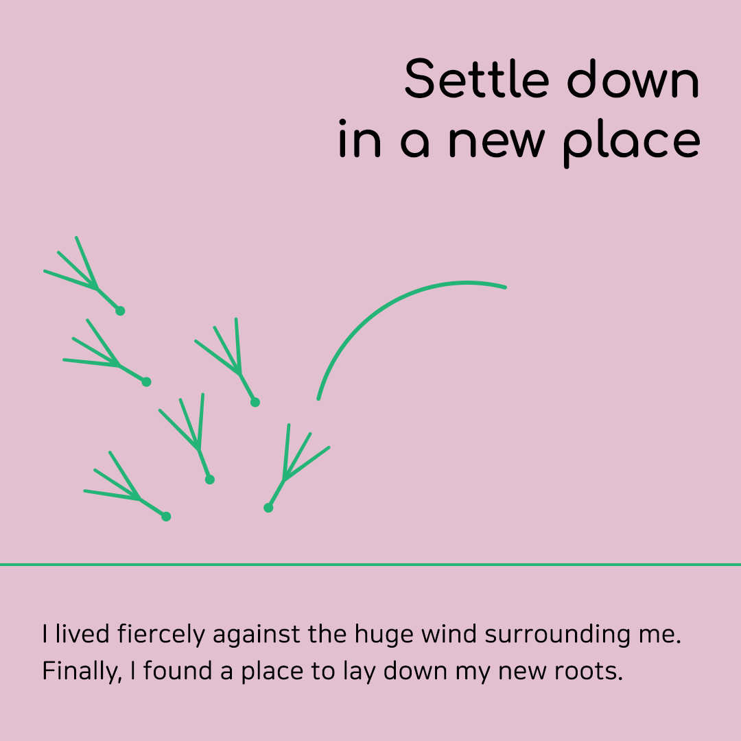We are all Diaspora #1. Blossoms, I am a Dandelion